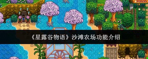 星露谷物语沙滩怎么去