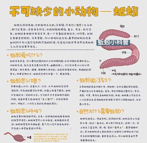 密室逃脱蚯蚓怎么弄[图1]