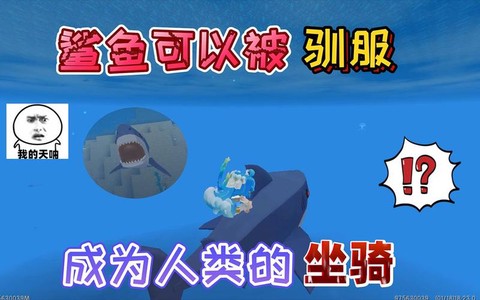 迷你世界鲨鱼怎么打