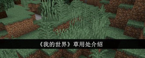 我的世界干草捆怎么做[图1]