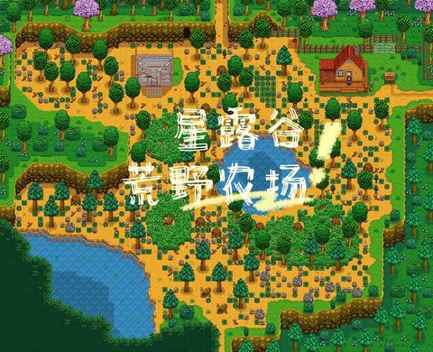 星露谷物语土壤怎么得