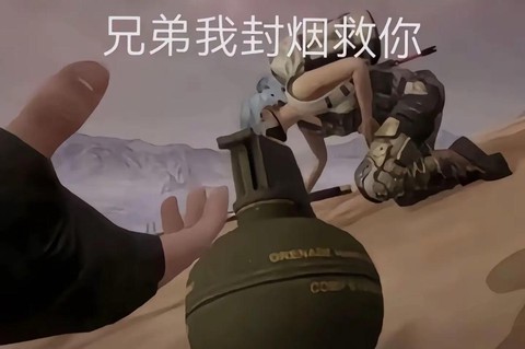 绝地求生offline什么意思[图2]